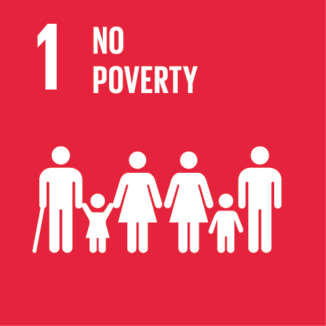UN SDG Goal 1