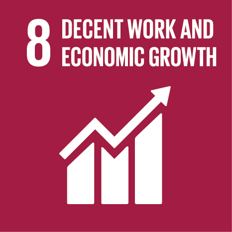 UN SDG Goal 8
