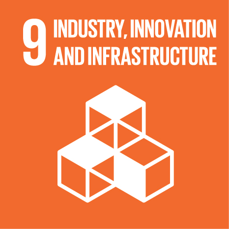 UN SDG Goal 9