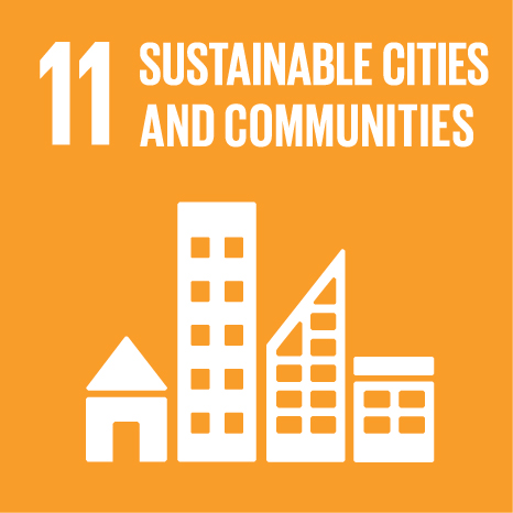 UN SDG Goal 11