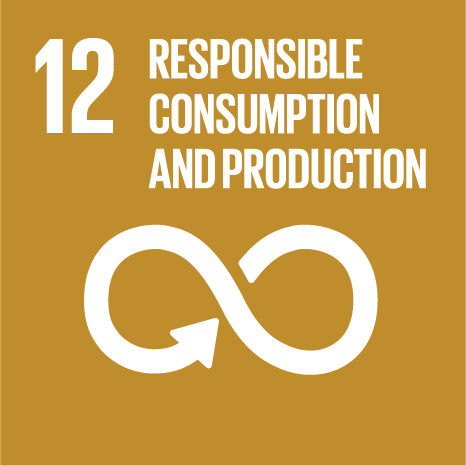 UN SDG Goal 12
